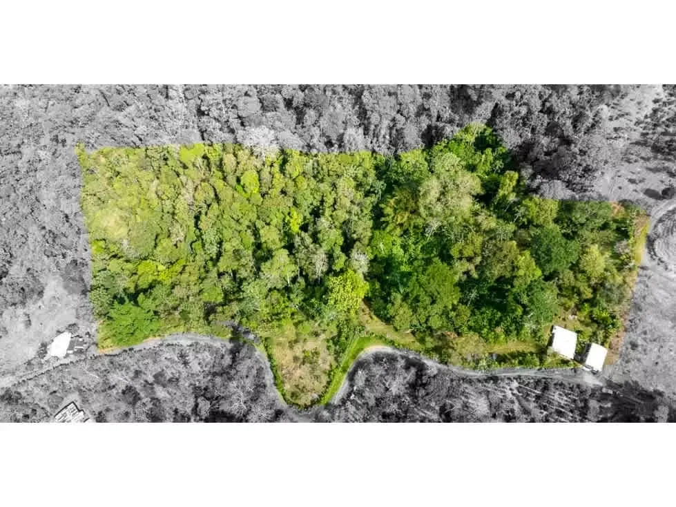 Finca Natural con 2 casas en Tuis de Turrialba