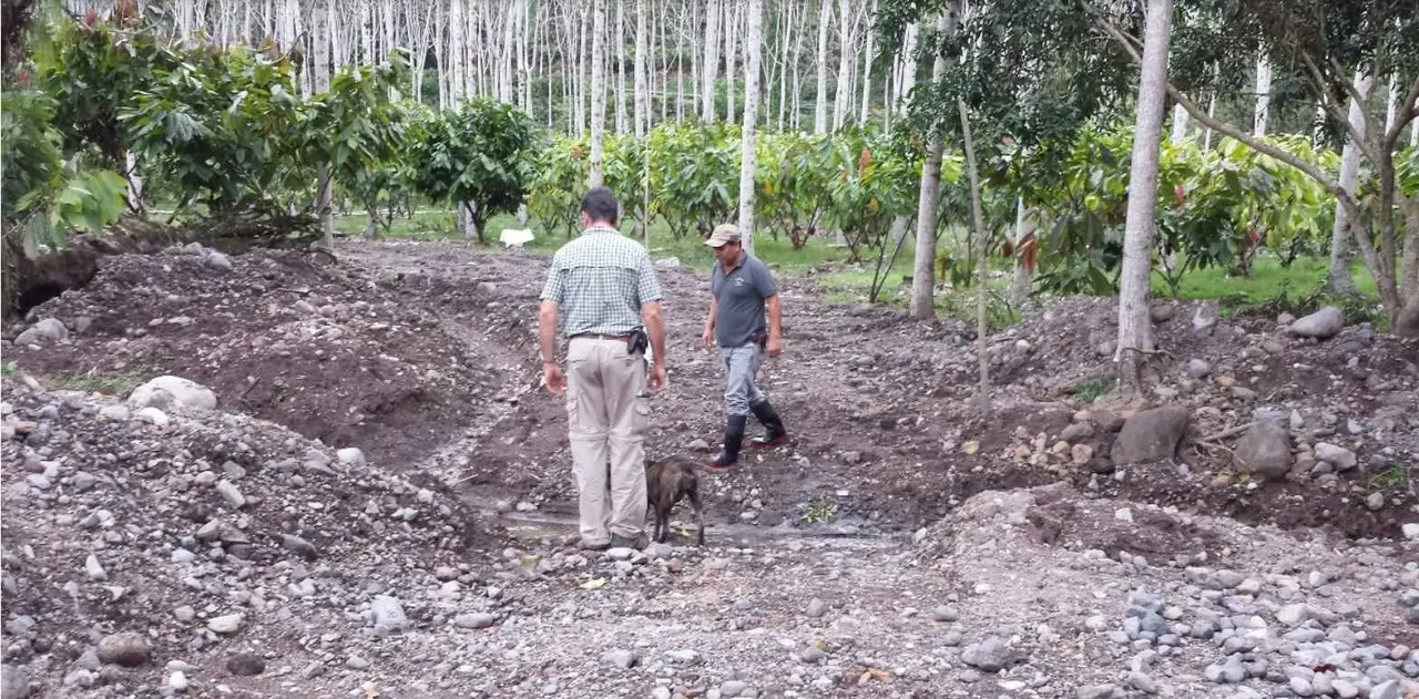 Venta de Finca de Cacao en Turrialba, Cartago