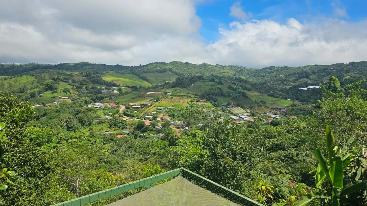 Área de terreno 70.166 m2 los cuales tiene senderos internos para recorrer la finca