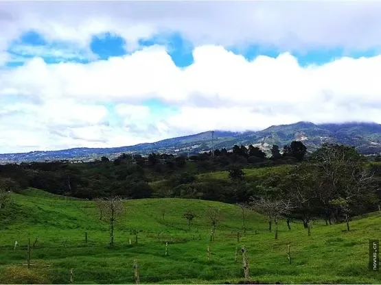 Finca Agrícola con gran potencial en Moravia