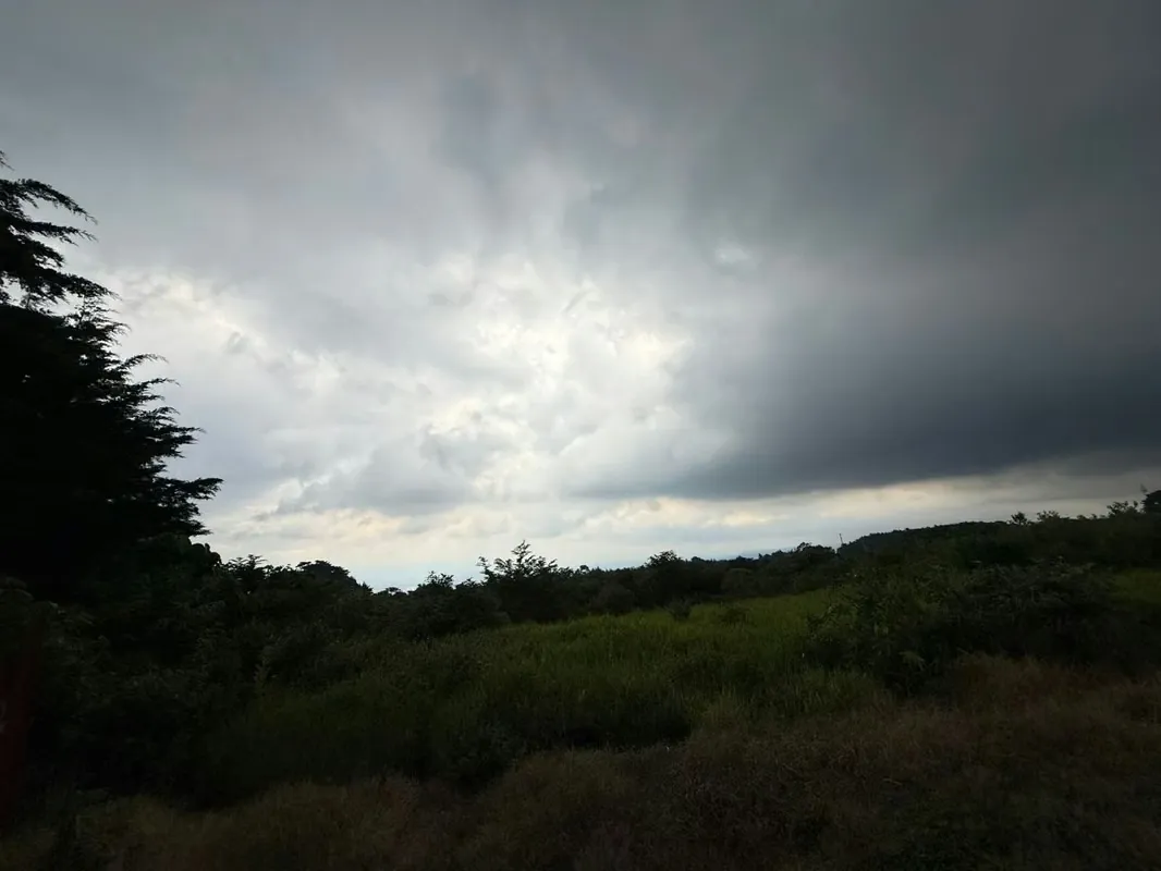 VENTA DE FINCA, USO MIXTO, HEREDIA, SAN JOSÉ DE LA MONTAÑA
