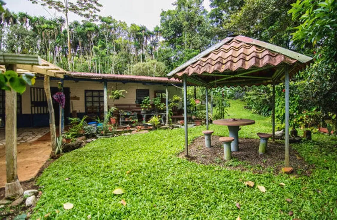 Finca de Café de casi 4 Hectáreas en San Ramón de Alajuela