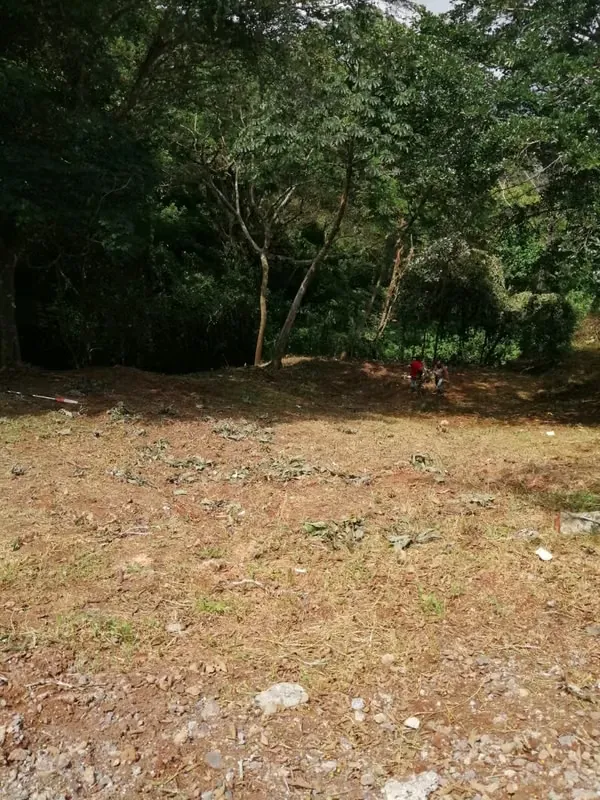 Lot for Sale 1,069 m² in Condominium - Naranjo, Alajuela