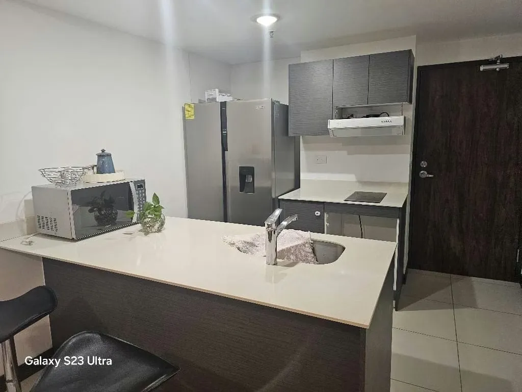 Sabana Noreste - 1 habitación - Amenidades - Pet friendly