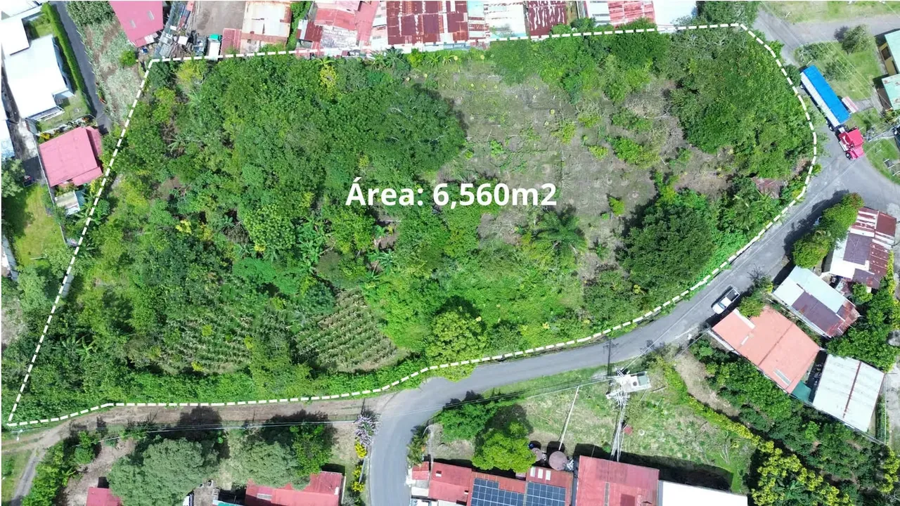 Amplio Terreno En Venta - Zaragoza, Palmares (6,560m2)