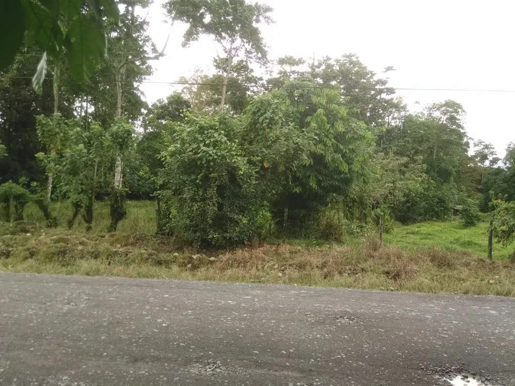 Venta de Finca en Roxana, Pococí, Limón