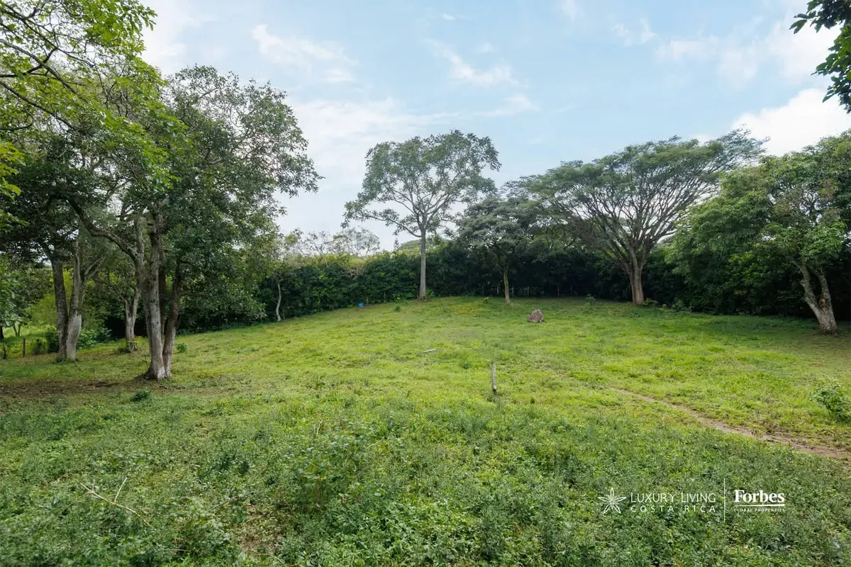 21222 - Lot For Sale In Ciudad Colón surrounded by nature