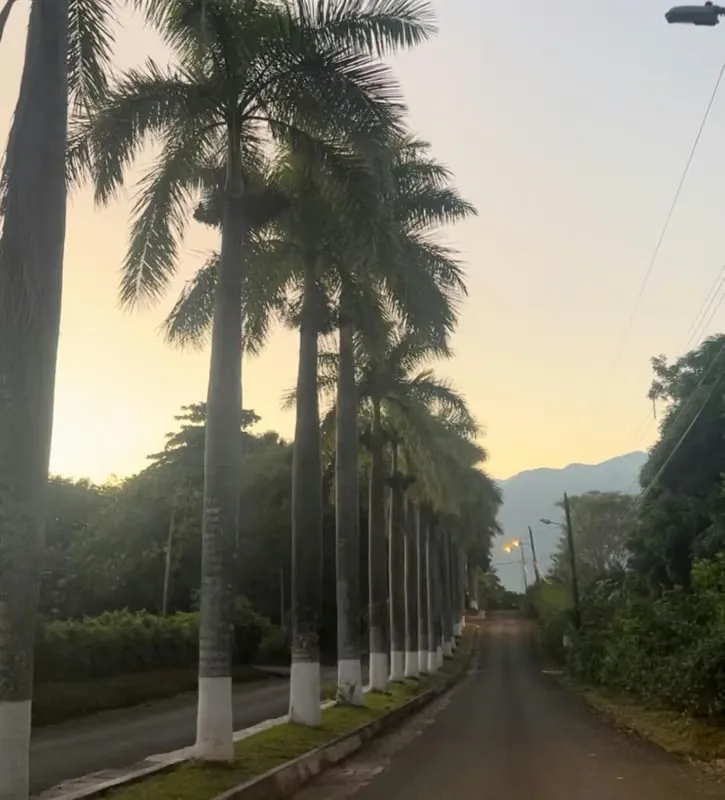 Se vende quinta en Condominio Quintas Del Campo  – Orotina