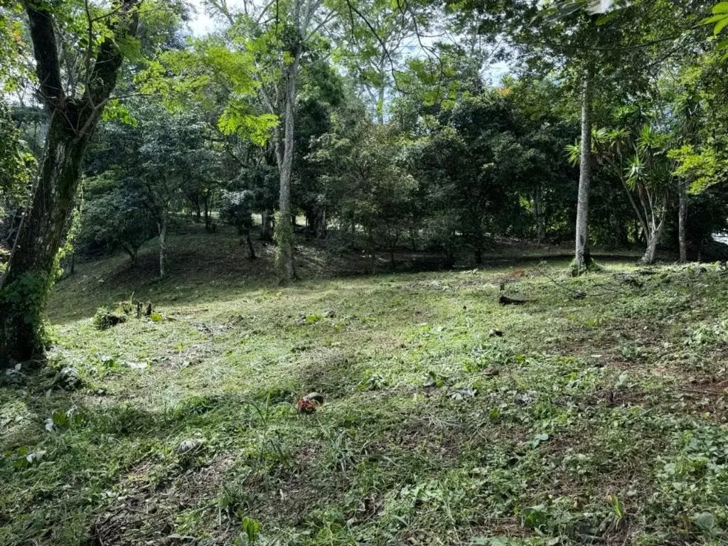 Venta lote para desarrollo Habitacional