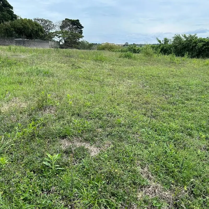 Se vende un terreno de 3,709m2 en Moravia, San vincente