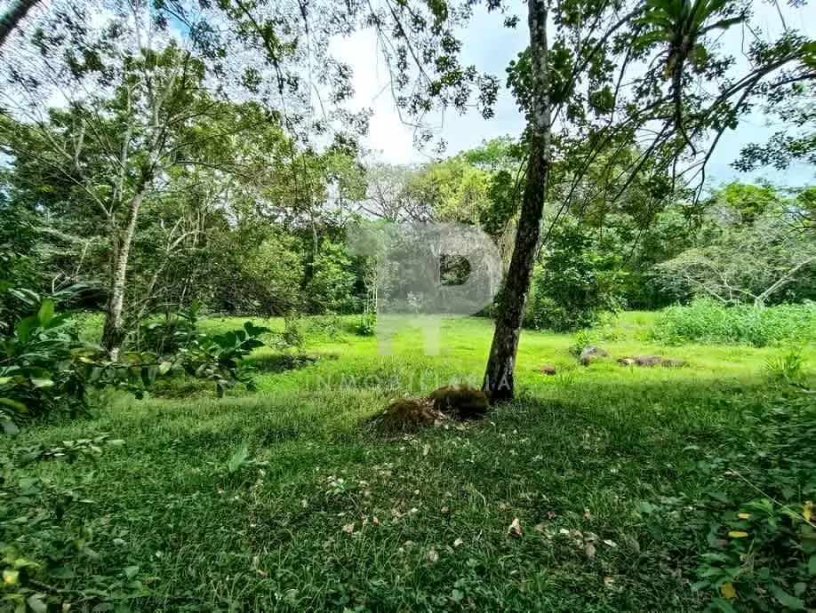 Lote plano en Bajo Los Rodriguez-San Ramón. JRC12