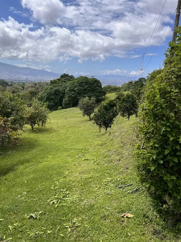 Ubicada a pocos kilómetros de Coronado, Guadalupe y Sabanilla, esta hermosa residencia ofrece ...