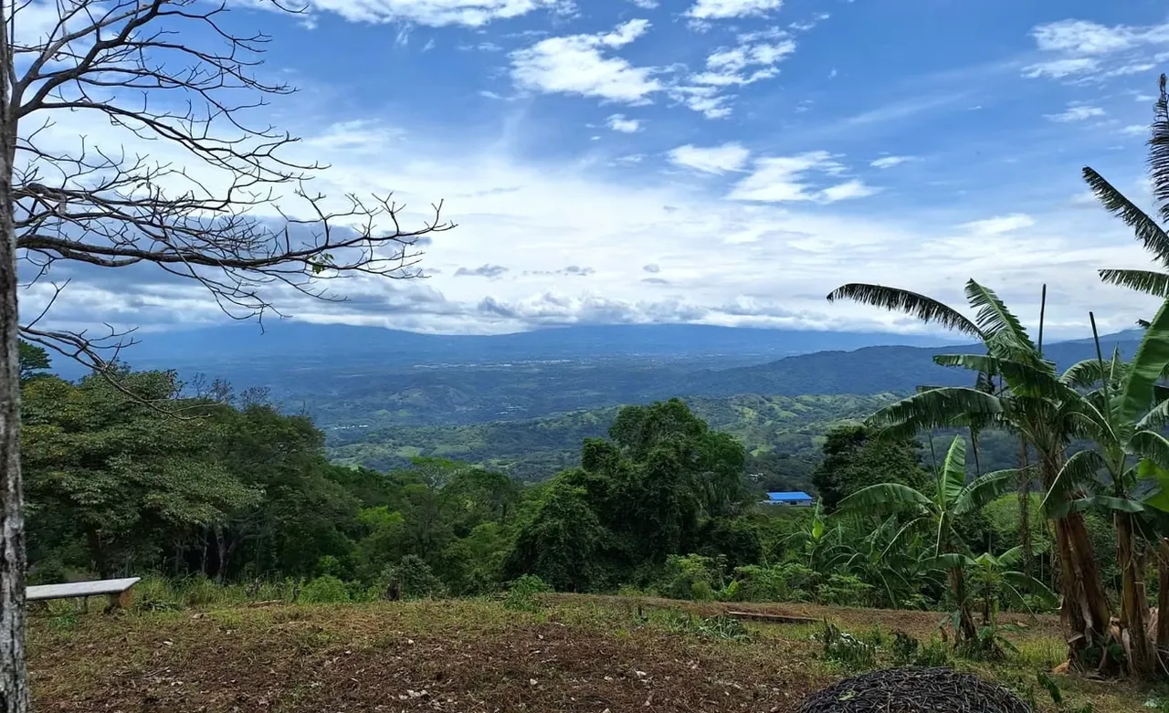PURISCAL, LOTE 5002m² VISTA, RESIDENCIAL CERRADO, NATURALEZA, INTERNET