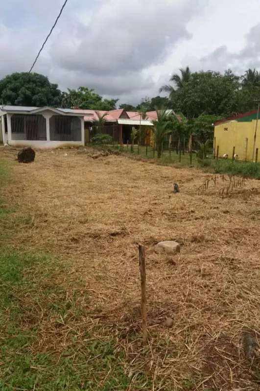 Oportunidad de Lote en El Cairo de Siquirres, Limón
