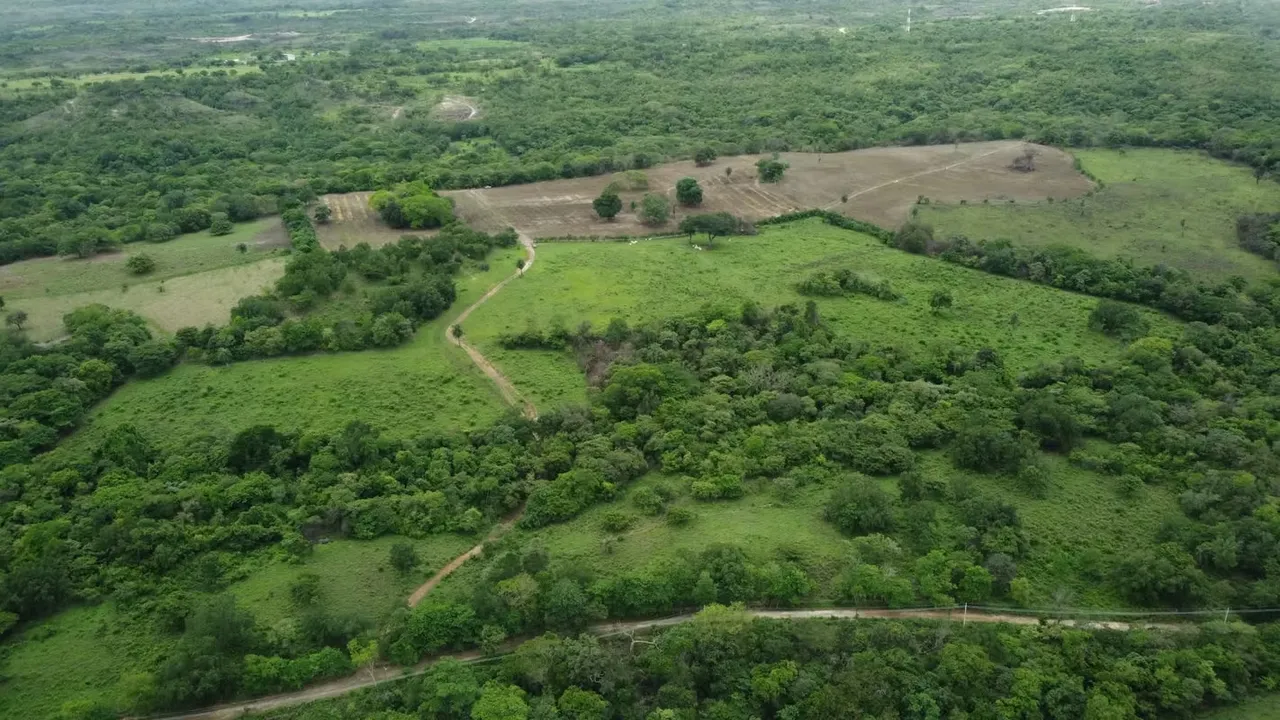 Bosque + Río + Potreros y siembra