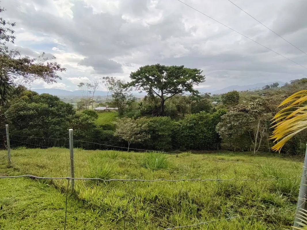 Land for sale in General Viejo, Pérez Zeledón