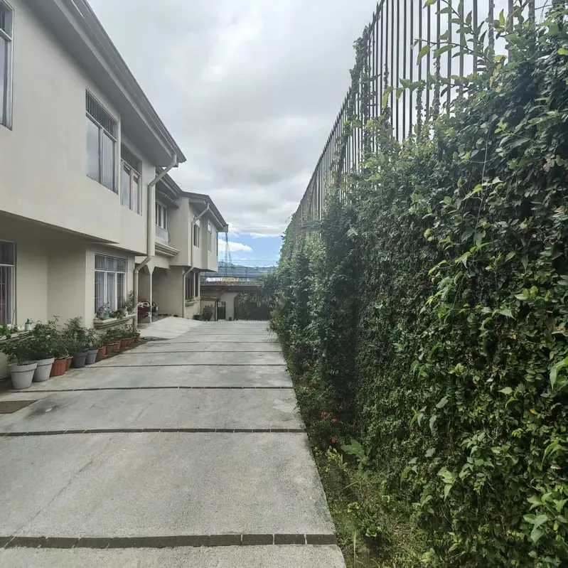 Casa en condominio en alquiler en Curridabat 25379