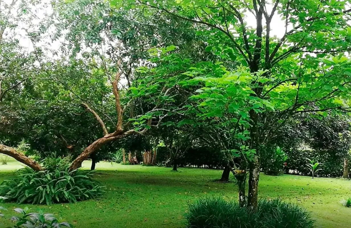 Se vende quinta con casa en Horquetas de Sarapiquí