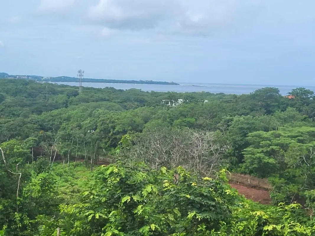 Lote de 5,300m2/1.31 Acres en Playa Grande