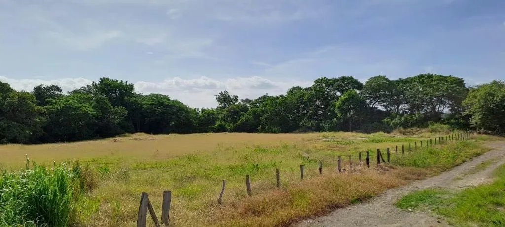 LAND FOR SALE IN LIBERIA