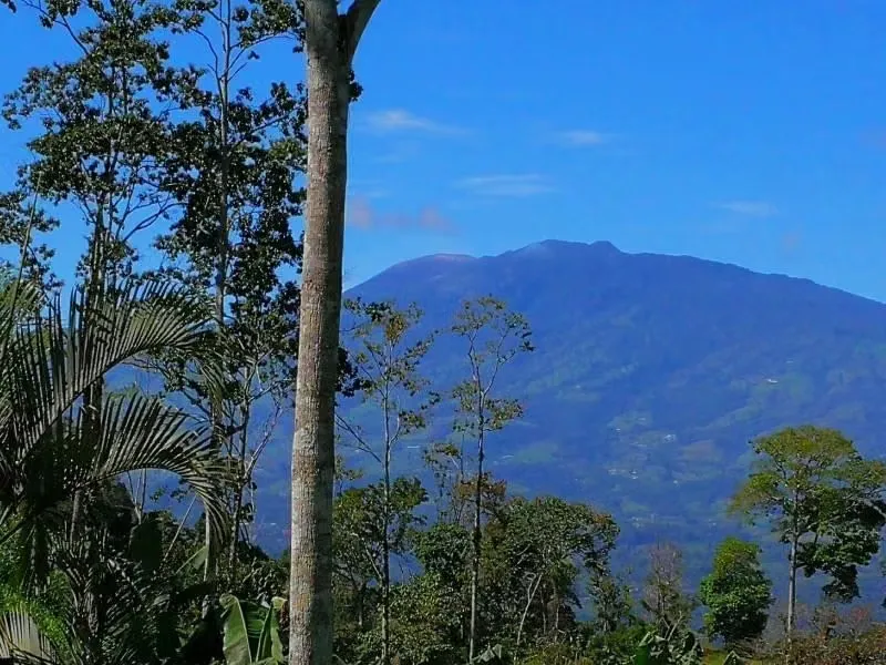 VENTA DE FINCA EN CHITARÍA, PAVONES DE TURRIALBA, CARTAGO (AS)