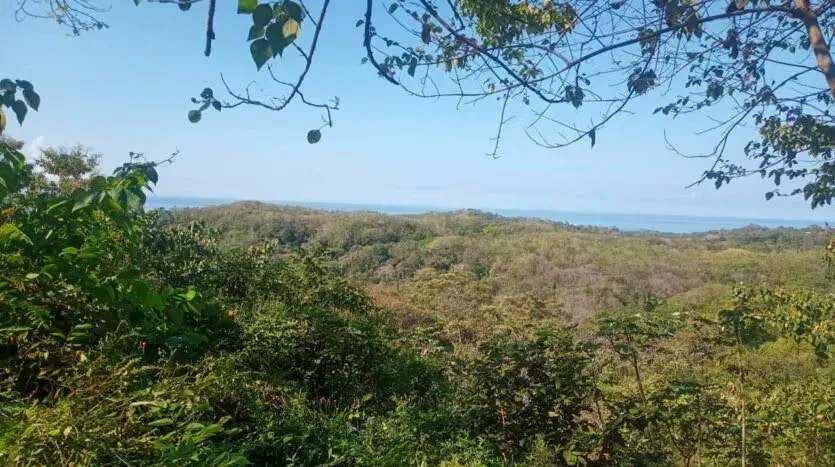 Lot for Sale with Sea and River Views near Marbella