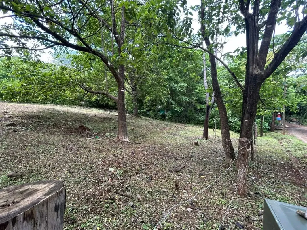 Construye tu sueño en Altos de Pinilla