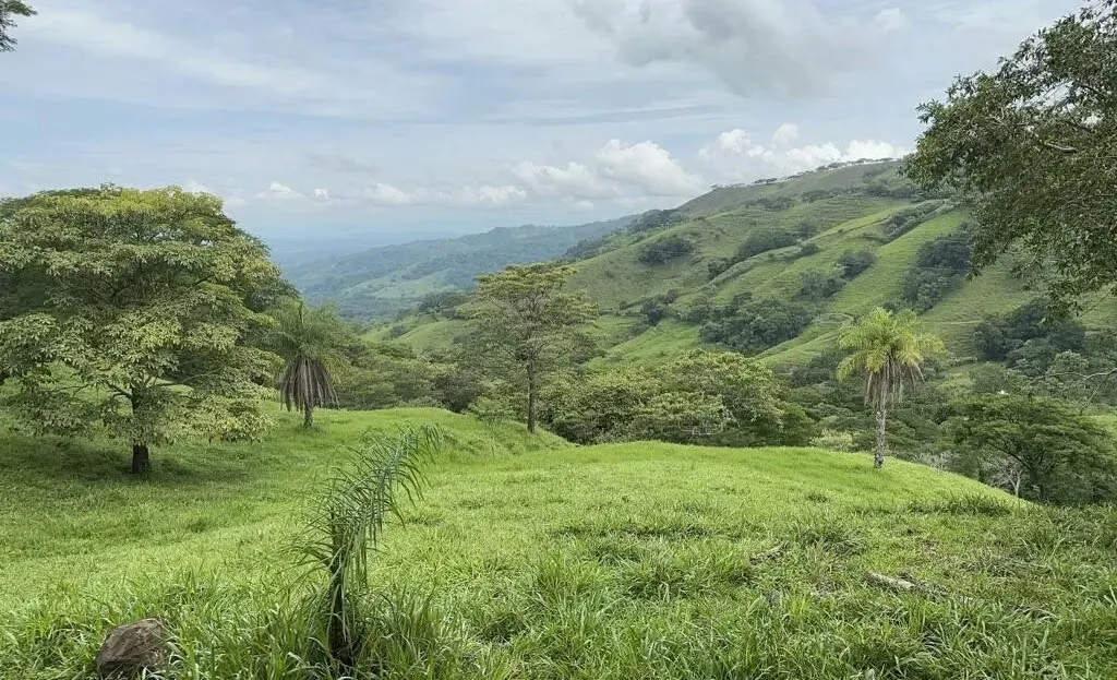 Propiedad de 117,454m2 ideal para finca con mucho terreno