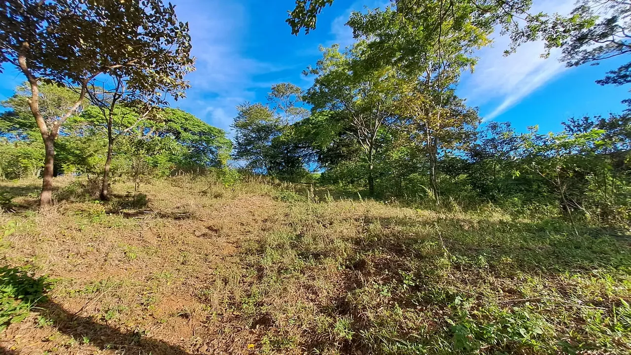 FINCA EN VENTA, NICOYA, GUANACASTE. 137,3 HECT. VISTAS Y RIO .
