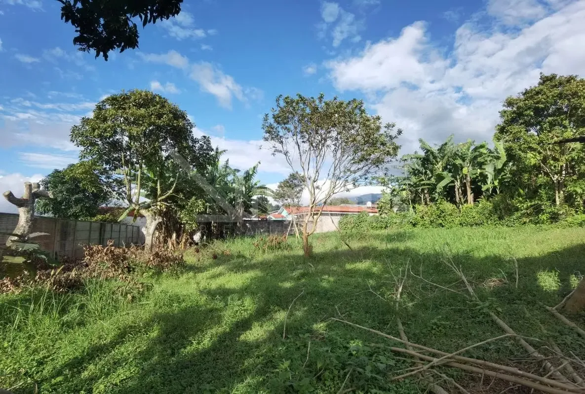 Terreno en venta con topografía totalmente plana, ideal para desarrollo residencial.