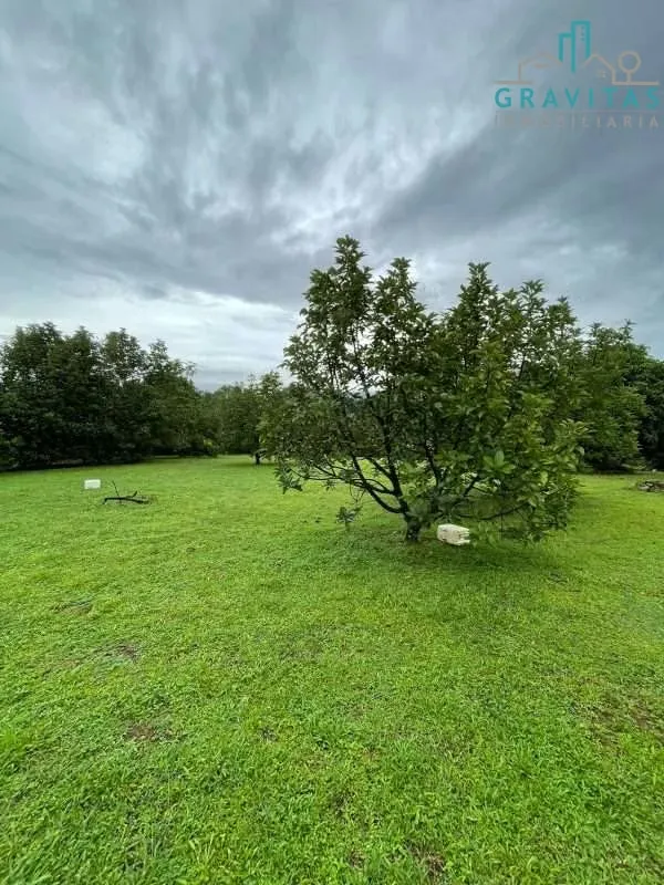 Venta de finca en Orotina | 19300 m2 | TOPOGRAFÍA PLANA | F 660