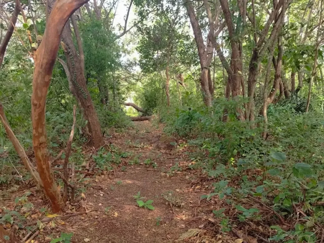 VENTA DE LOTE EN LIBERIA GUANACASTE -  GUARIA MORADA