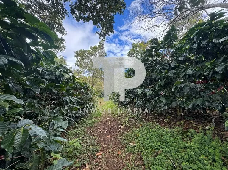 Finca Cafetalera en Concepción San Rafael de Heredia. JRC336