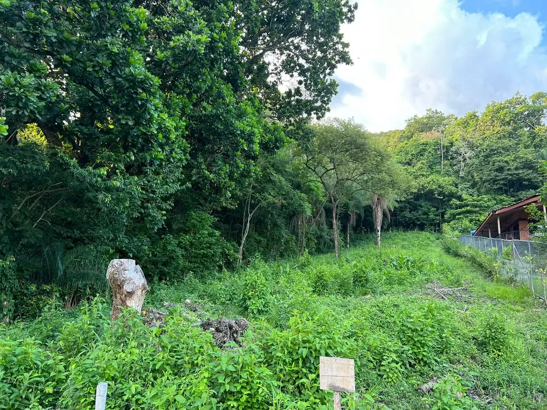 Lote amplio en residencial – San Mateo, Alajuela | Entorno natural y excelente ubicación
