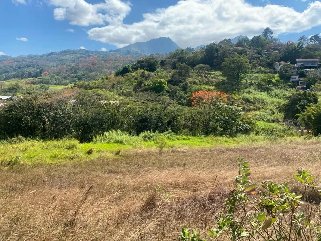 2.8 hectares Land, San José & Mountain View, Residential Development
