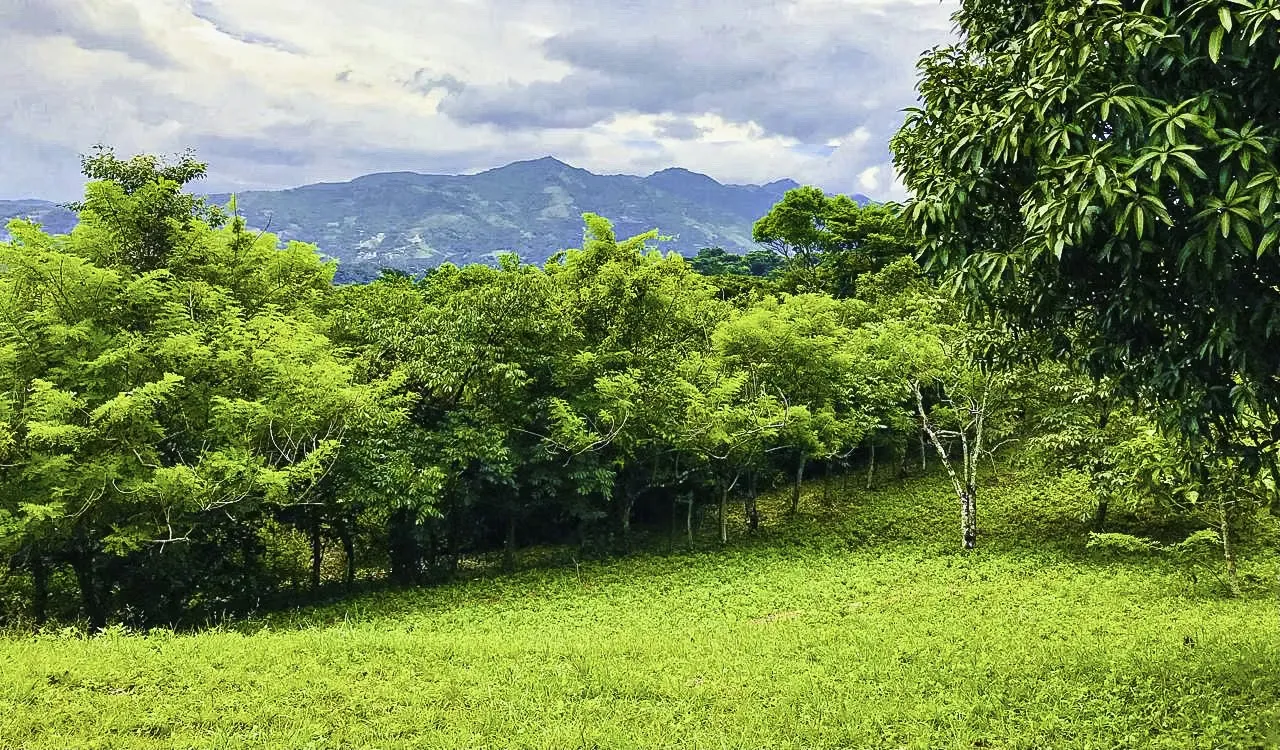 Rodeo | Ciudad Colon Dream Homesite