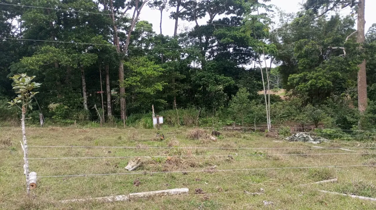 Lote de 298 m² Cerca de Río Celeste – en Katira, Guatuso-VH