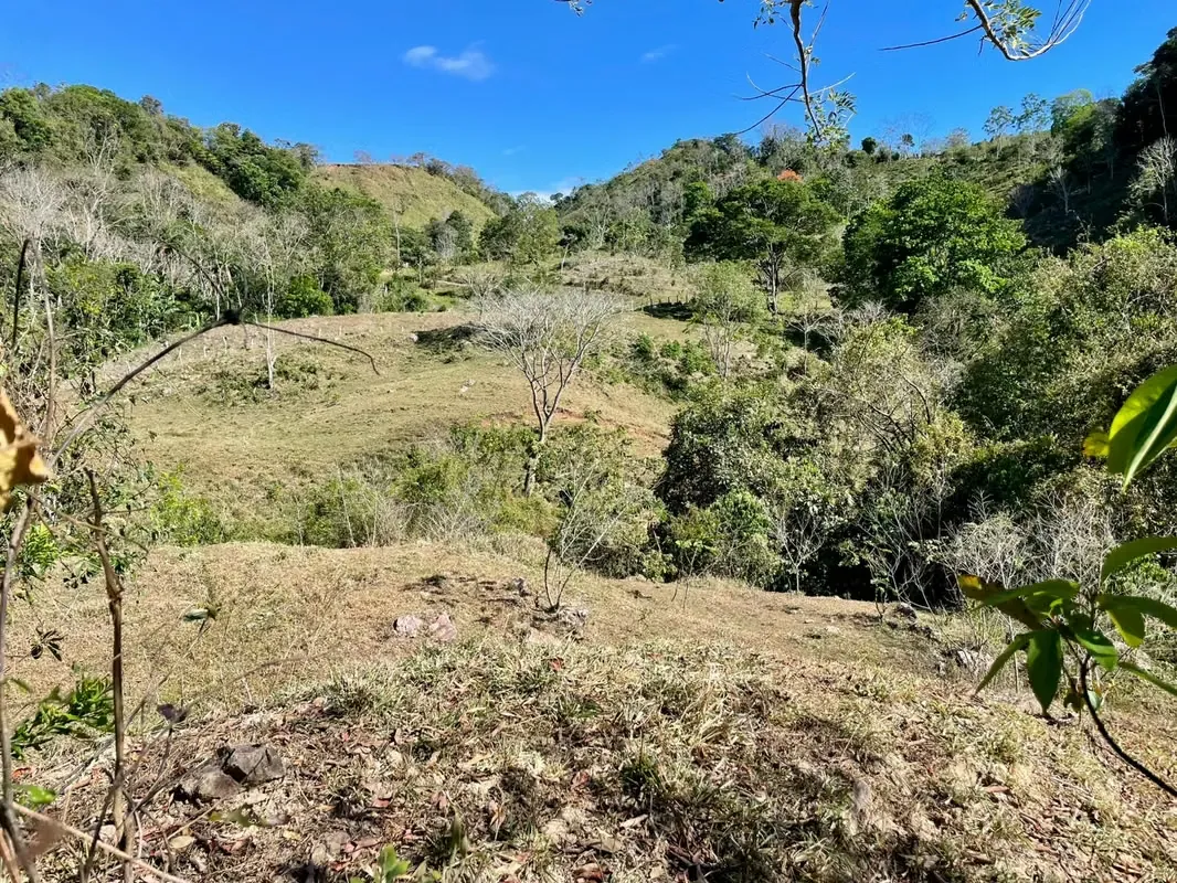 Finca ganadera en venta en Tabarcia 13 hectáreas colinda con río 150 millones