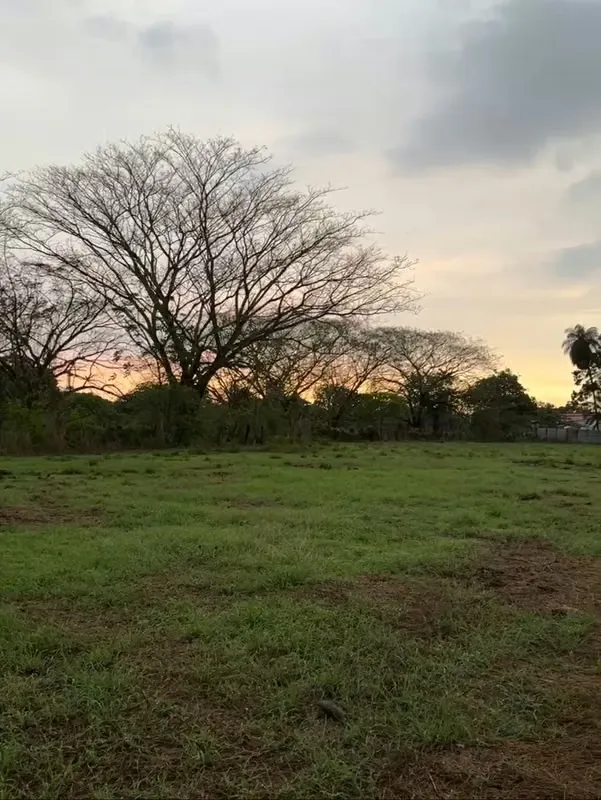 Land for Sale with Mixed Land Use in Guardia, Liberia
