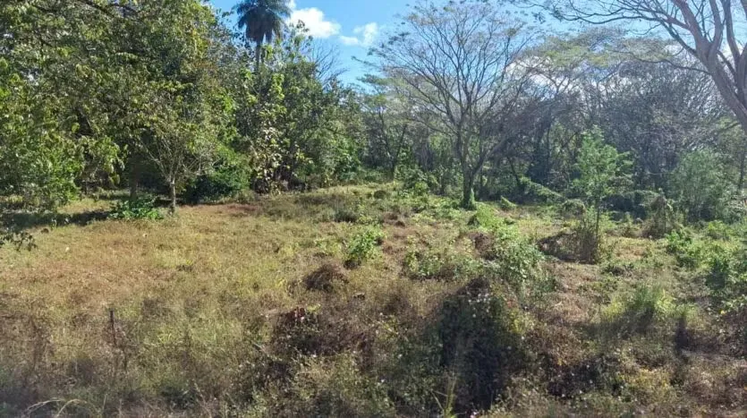 Venta de Terreno en Brasilito