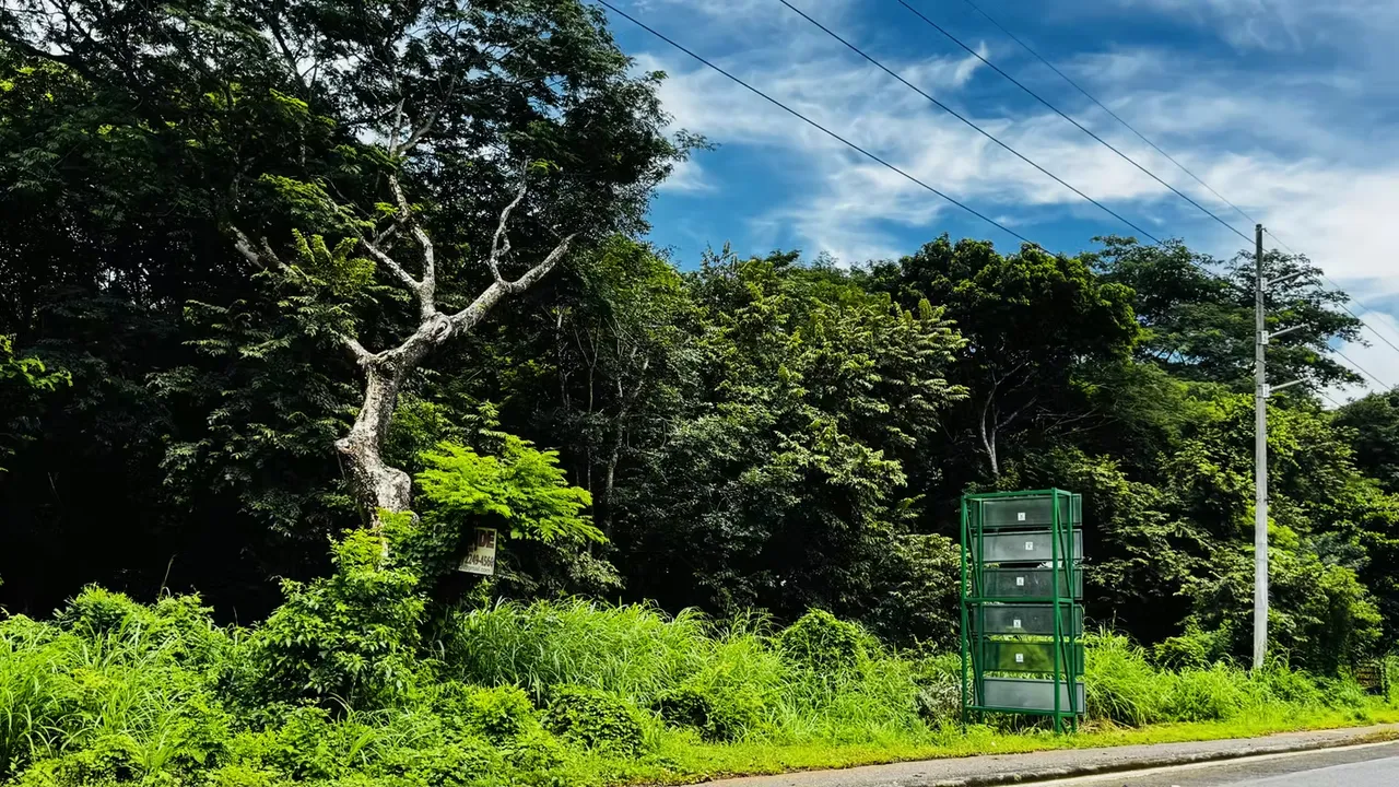 Close to Playa Tamarindo, Avellanas and main beaches of the area