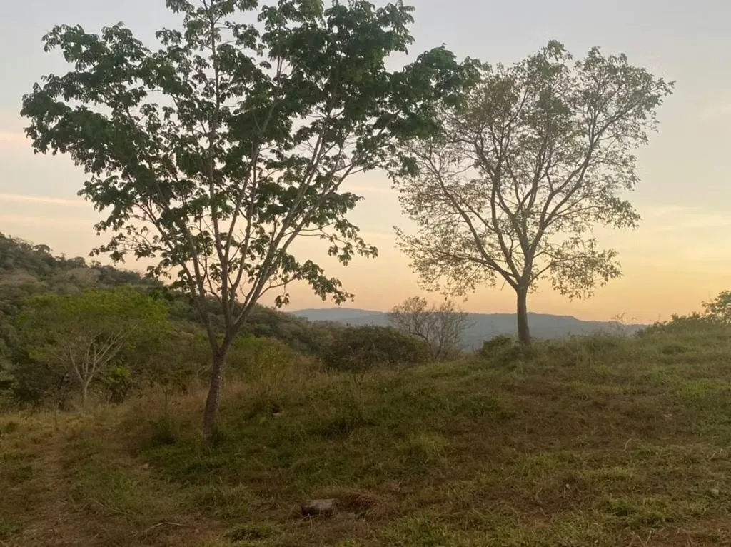 Finca Ganadera en Venta en El Espabelar, Nicoya, Guanacaste