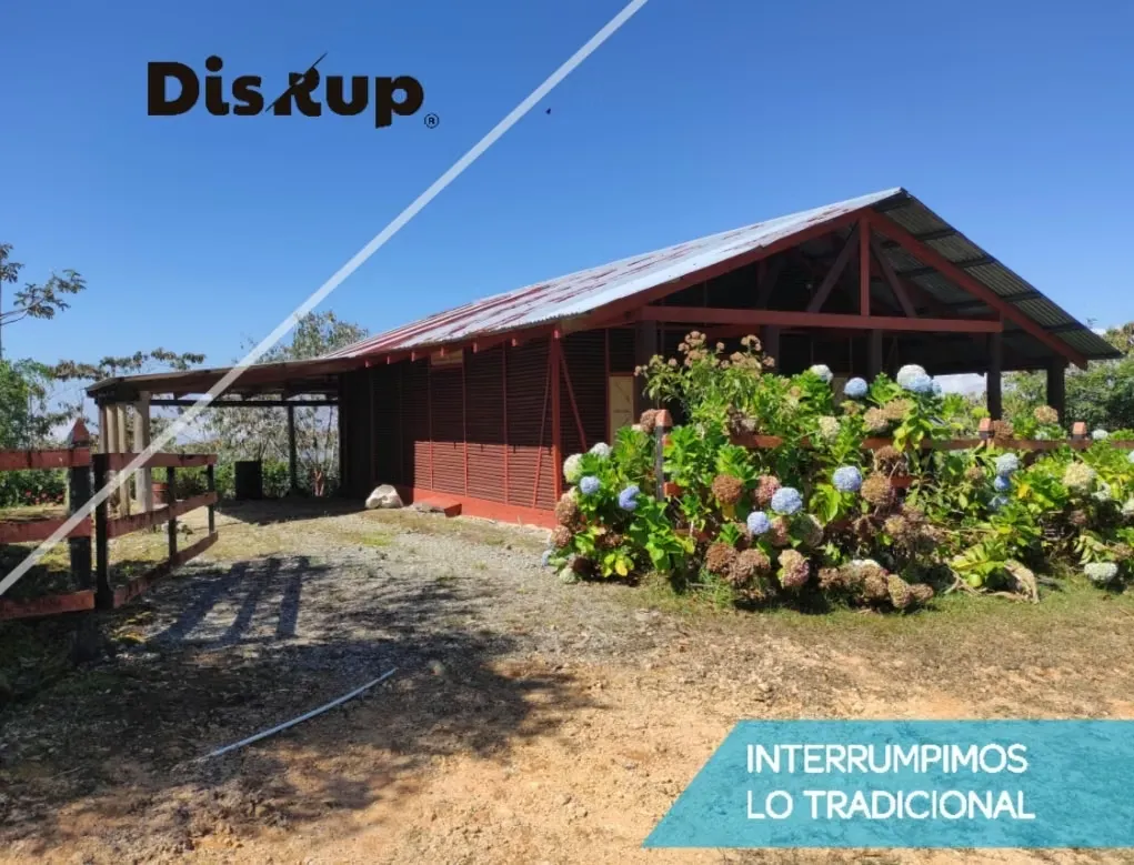 Property for sale in the Los Santos area, San Marcos de Tarrazú. Road to San Joaquín.