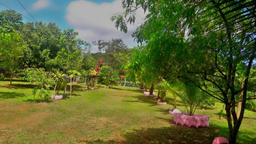 Located 11 kilometers from the entrance to Pueblo Nuevo, MA Advisorias offers you this property with 2 houses at a ...