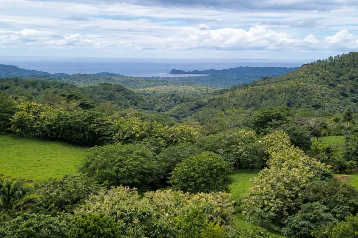 HERMOSA FINCA EN VENTA UBICADA EN SAMARA, GUANACASTE, COSTA RICA.