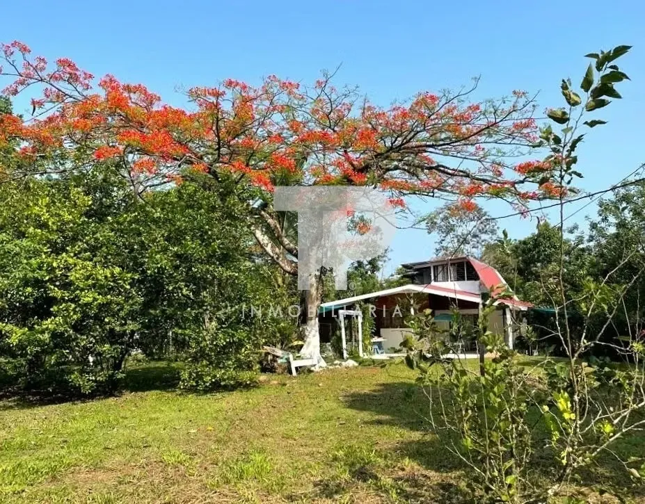 SE VENDE QUINTA 1.5 HECTÁREAS RÍO CUARTO ALAJUELA A 1 HORA LA FORTUNA SCG11