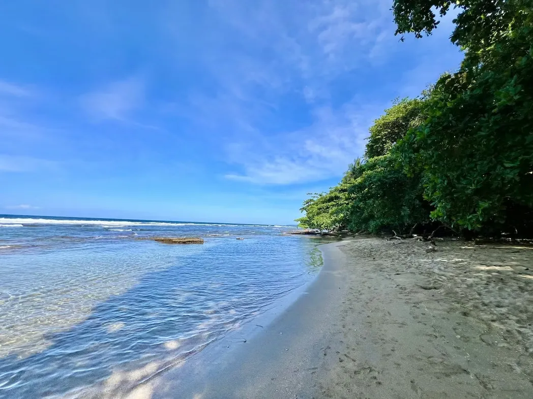 – This house is for sale in the heart of Cocles, just a few steps from the beach!