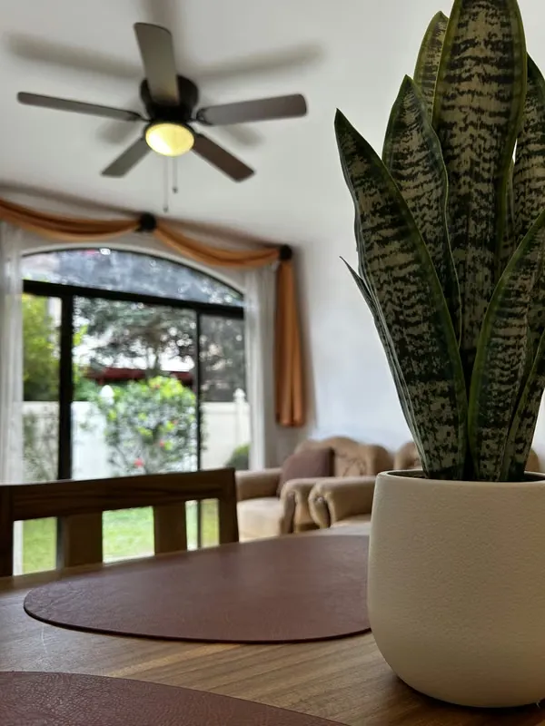 Casa de tres cuartos semi-amueblada en condominio, Coyol, Alajuela (dueños)