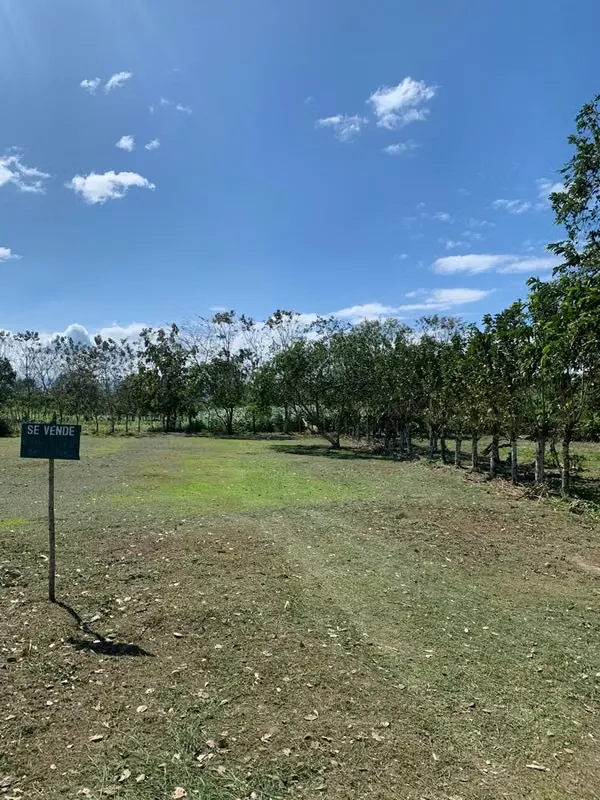 Venta de terreno en Muelle La Palmera, San Carlos, Alajuela