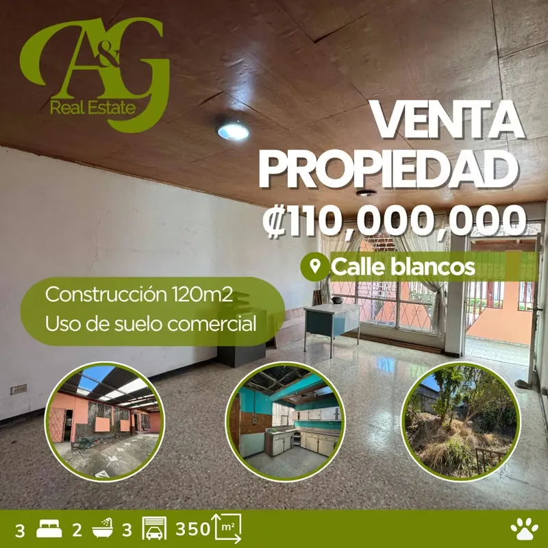 Propiedad con uso de suelo comercial ubicada en Calle Blancos, en una zona estratégica de gran crecimiento, muy ...